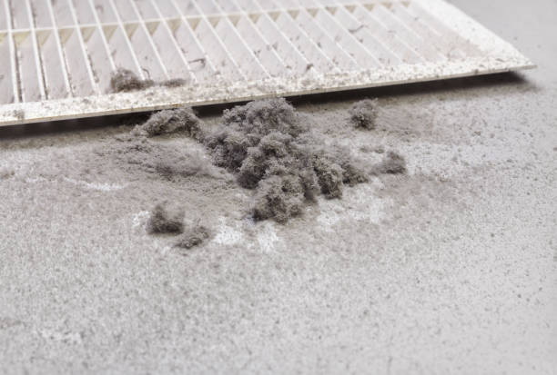 Best HVAC Maintenance and Cleaning  in Tavernier, FL