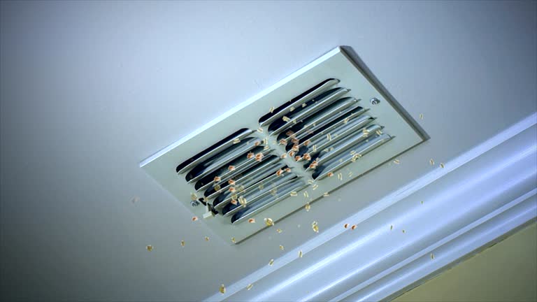 Best Affordable HVAC Duct Cleaning  in Tavernier, FL