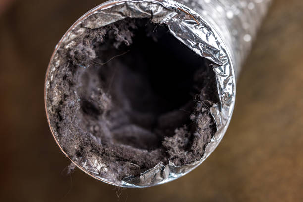 Best Best Air Duct Cleaning Company  in Tavernier, FL