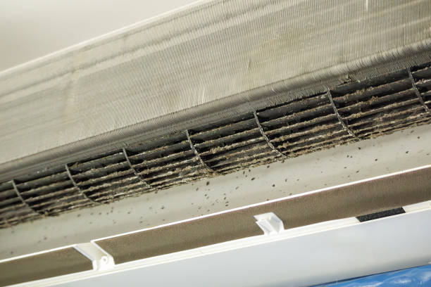Best Professional Duct Cleaning Services  in Tavernier, FL